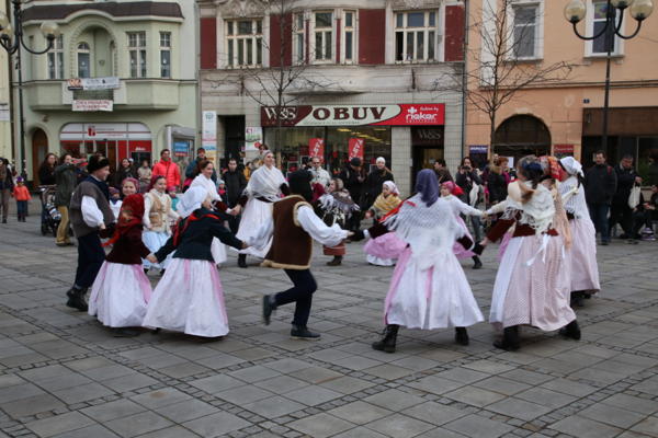 Fotografie č.10
