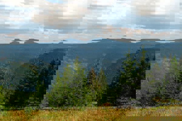 wielka-rycerzowa-1.jpg